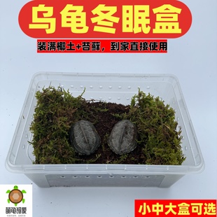 乌龟冬眠用品巴西龟过冬椰土苔藓草沙土垫材保温冬眠缸乌龟冬眠箱