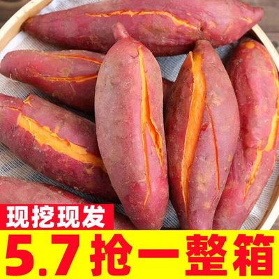 红心蜜薯10斤板栗红薯新鲜地瓜糖心番薯沙地农家自种山芋小香薯5