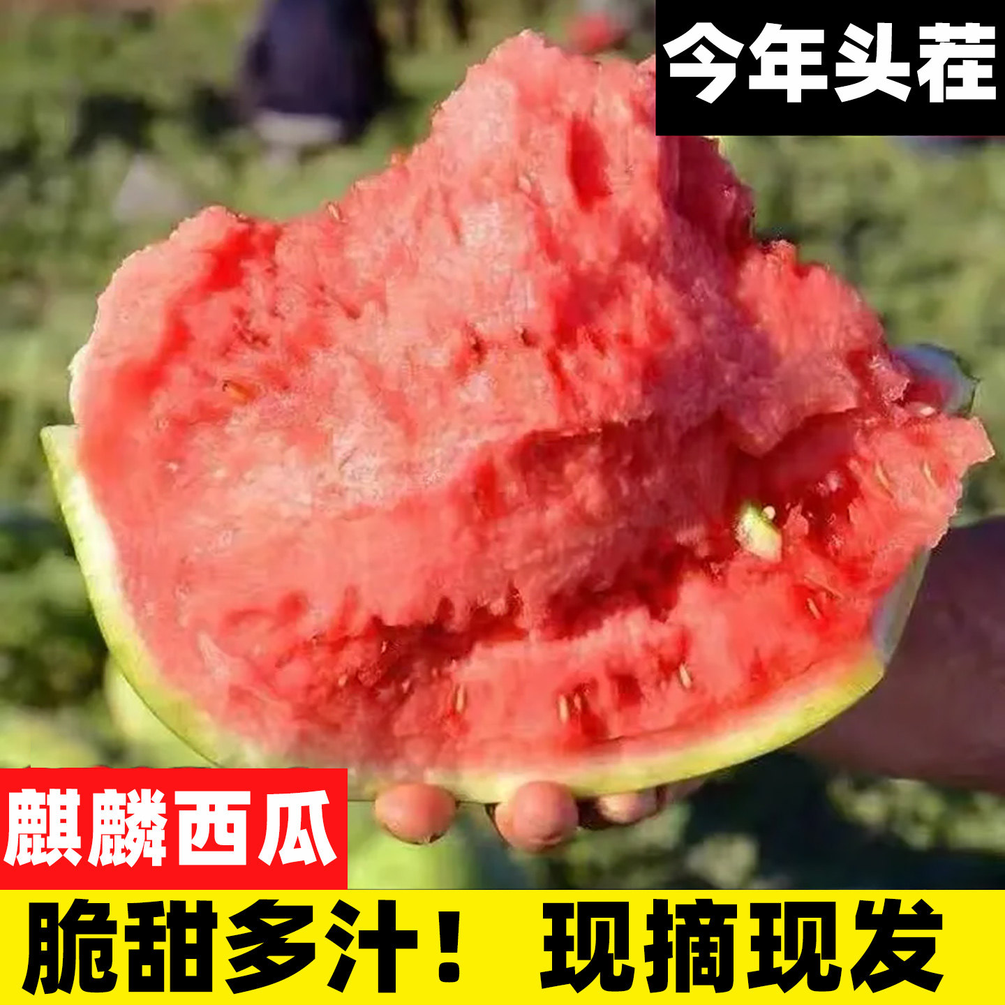 头茬麒麟西瓜现摘薄皮西瓜当季新鲜孕妇水果8424冰糖西瓜整箱包邮