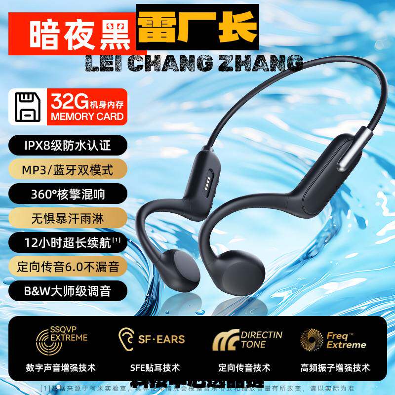 深圳瑞禾蓝牙耳机专供中英文版游泳耳机支持带内存真骨传导蓝牙耳