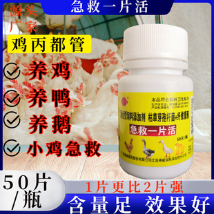 禽用鸡药片救禽一片活鸡鸭鹅鸽呼吸道呆立精神不振养殖场养鸡专用