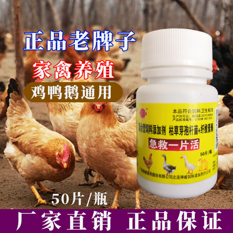 正品老牌子鸡鸭鹅通用感冒片家禽养殖常备饲料添加剂50片蛋禽可用