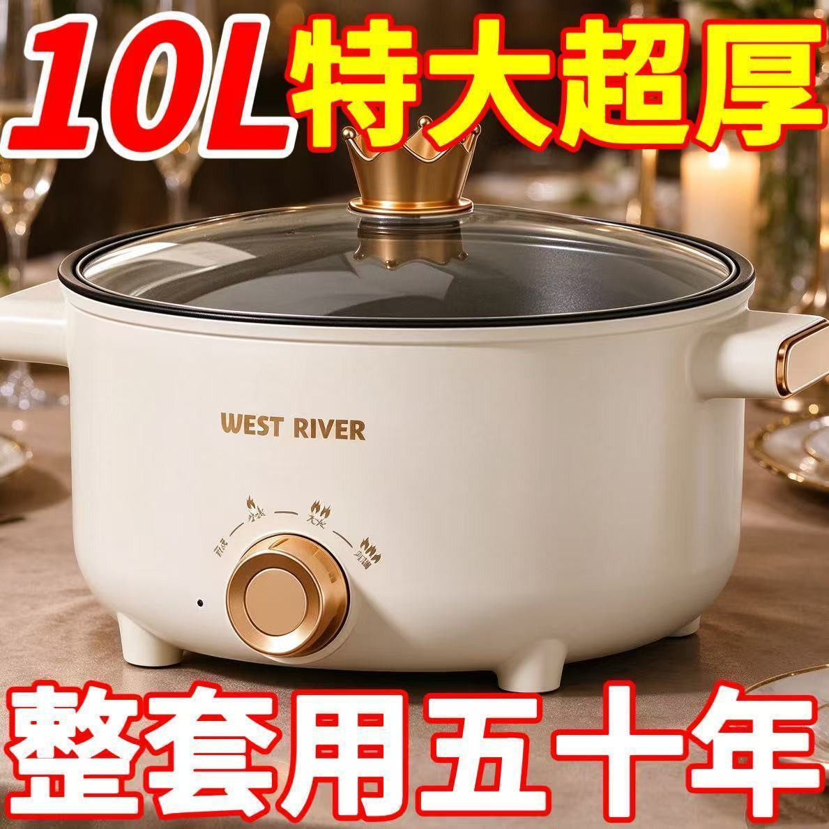 德国电煮锅多功能蒸煮锅家用一体电热火锅电炒锅学生宿舍小型电锅