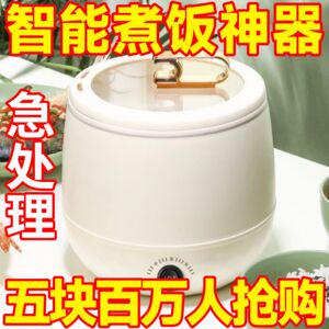 德国电饭煲家用多功能迷你电炒蒸煮全自动电饭锅火锅宿舍保温特价