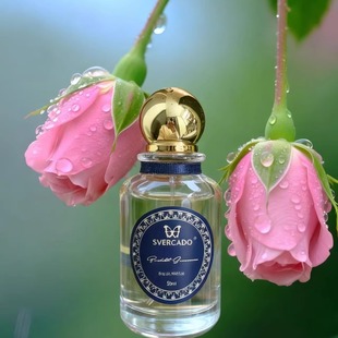 S.VERCADO逆光之夏香水SVERCADO雪松麝香试香