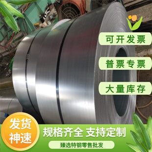 4200cr18ni9不锈钢0Cr18Ni12Mo2Ti板S32205 SUS329J1棒17Cr16Ni2