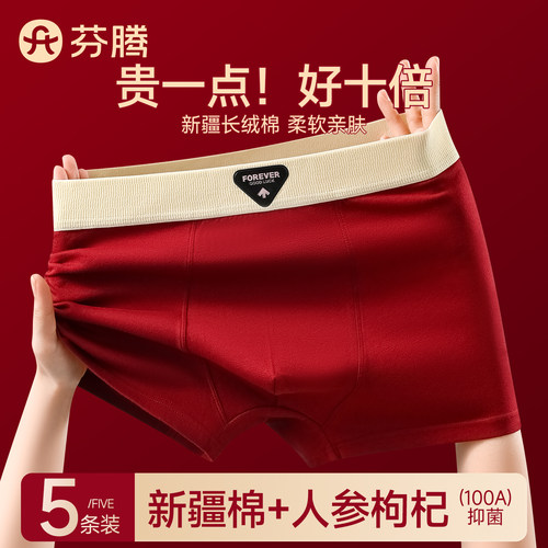 芬腾本命年纯棉男士内裤青少年