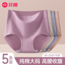 芬腾中老年内裤女士纯棉7a级抗菌妈妈高腰加肥加大码胖mm三角短裤