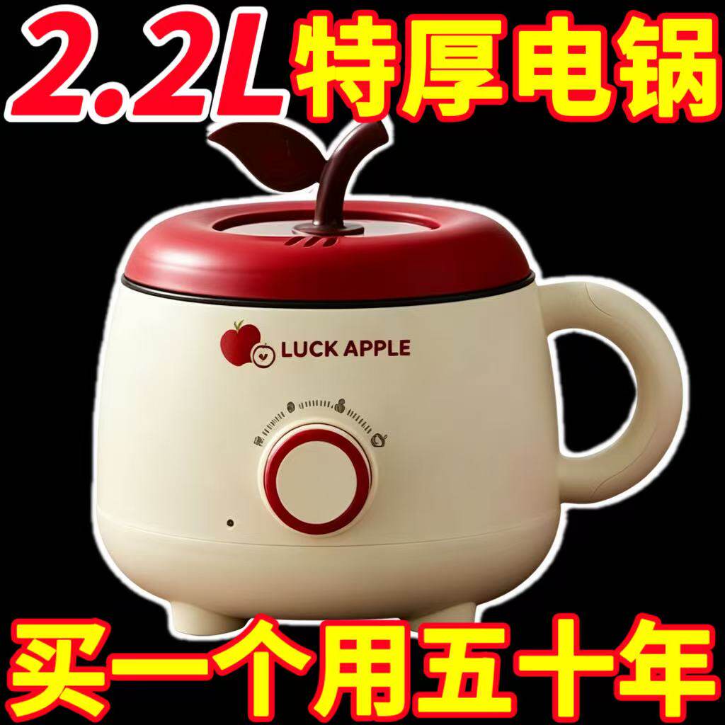 特价】电煮锅寝室锅宿舍电热锅出租屋煎鱼蛋煮饭炒火锅多功能烤肉