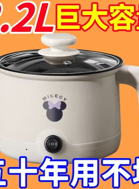 蒸煮煮饭多功能德国一体电火锅