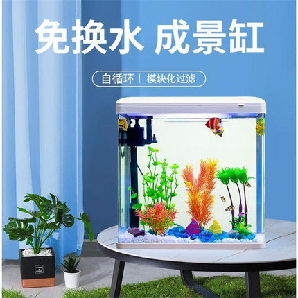 鱼缸家用客厅懒人免换水桌面玻璃中小型造景水族箱生态创意金鱼缸