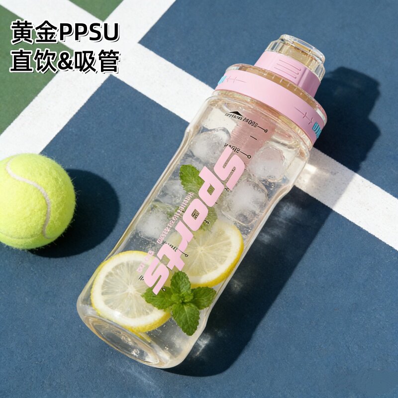 PPSU水杯夏季学生上学专用吸管杯大容量女生高颜值耐高温双饮水壶