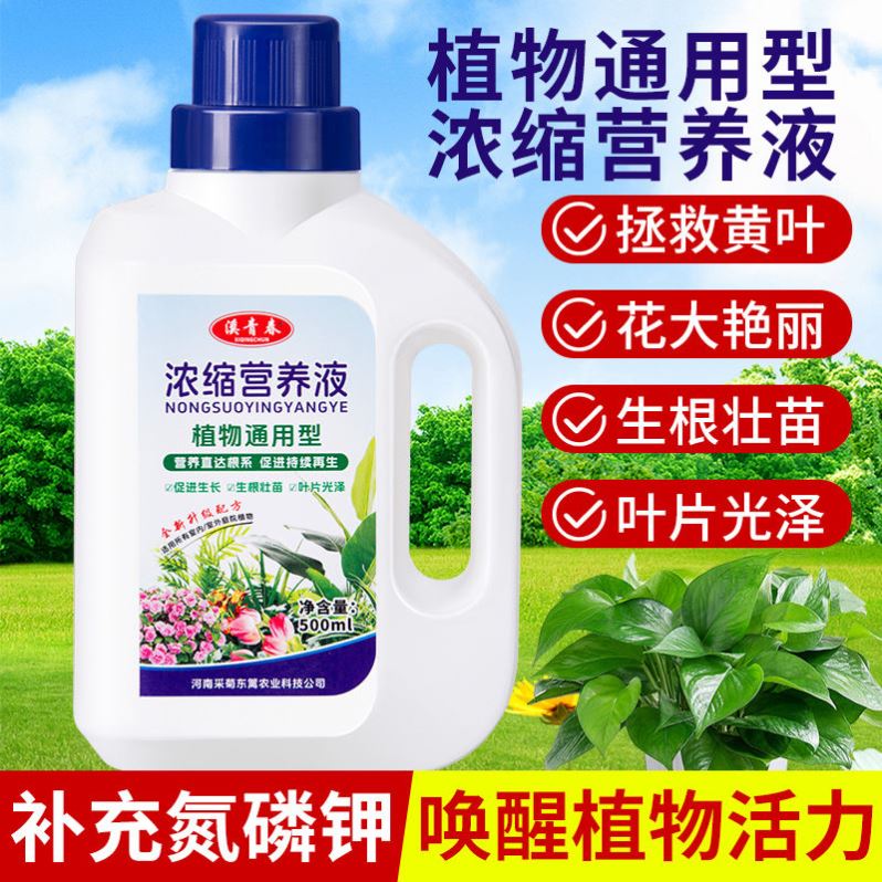 通用型植物营养液发财树富贵竹绿萝花肥水培土培花卉绿植浓缩肥料