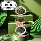 2024年白牡丹头春头采散茶政和高山白茶花香馥郁鲜爽甘甜