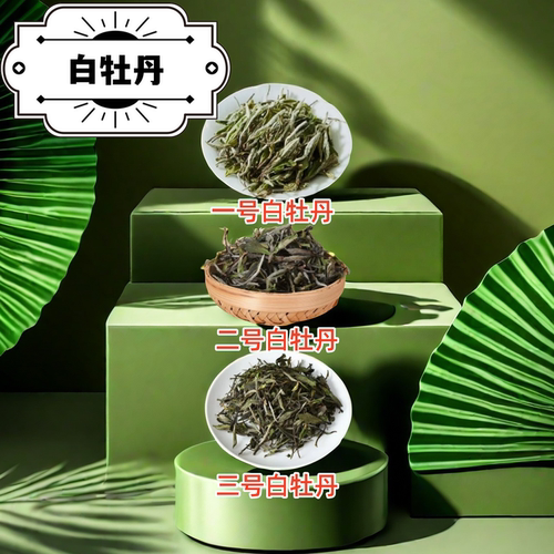 白牡丹24年特级一级二级