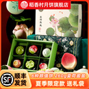稻香村月饼旗舰店夏荷盈盈新中式糕点礼盒点心下午茶点零食伴手礼