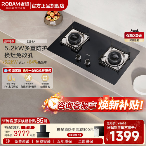 老板22B1A家用猛火灶双灶