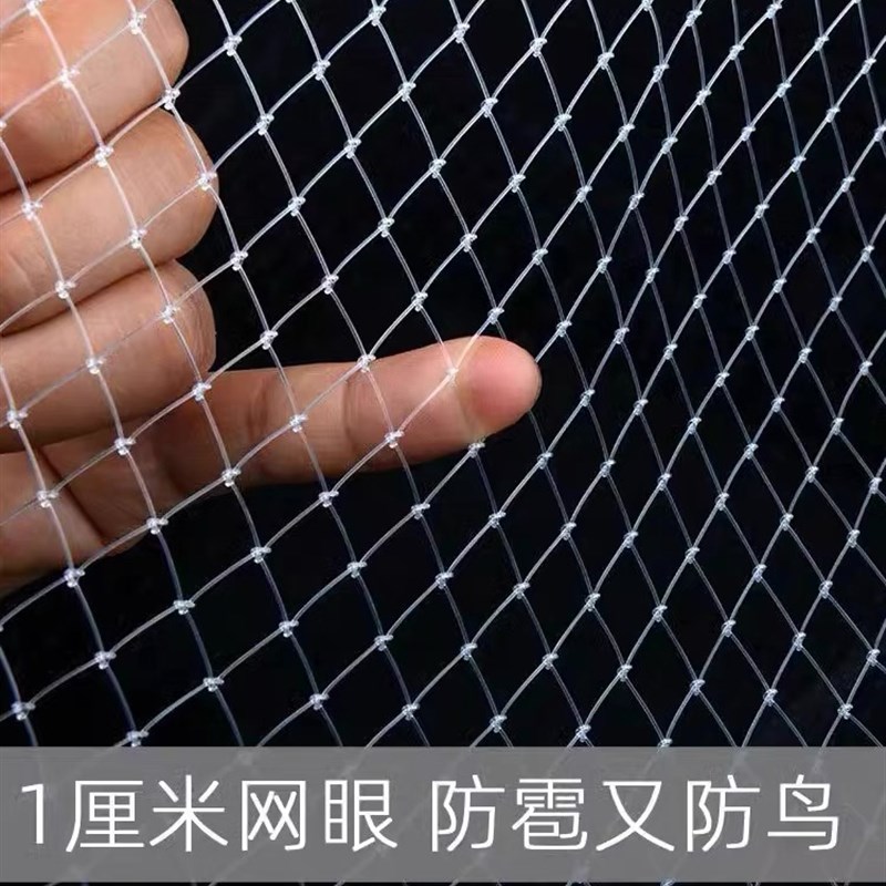 小网孔1厘米尼龙防鸟网防冰雹网果树防鸟网抗氧化防.鸟丝网隐形