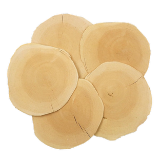 太守堂 黄东革阿里 东哥阿里原根原片80年根部切片非马来西亚