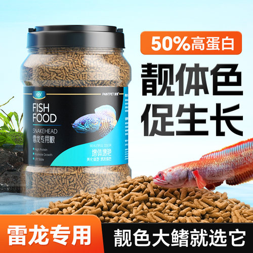 雷龙专用饲料鱼食阿萨姆眼镜蛇巴卡铅笔鱼小金鱼粮颗粒观赏鱼饲料