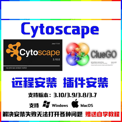 Cytoscape软件远程安装/环境配置/插件下载/插件安装/咨询服务