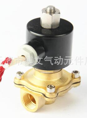 4分PT1/2铜体常开管道电磁阀2WT160-15 放水阀DN15 2W-15K