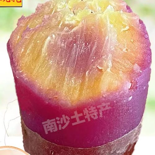 正宗广州南沙一点红番薯新鲜现挖冰淇淋红薯板栗薯农家自种蜜薯
