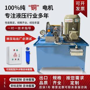 压力机泵站小型油压机液压缸非标制 液压站电磁阀液压系统动力单元