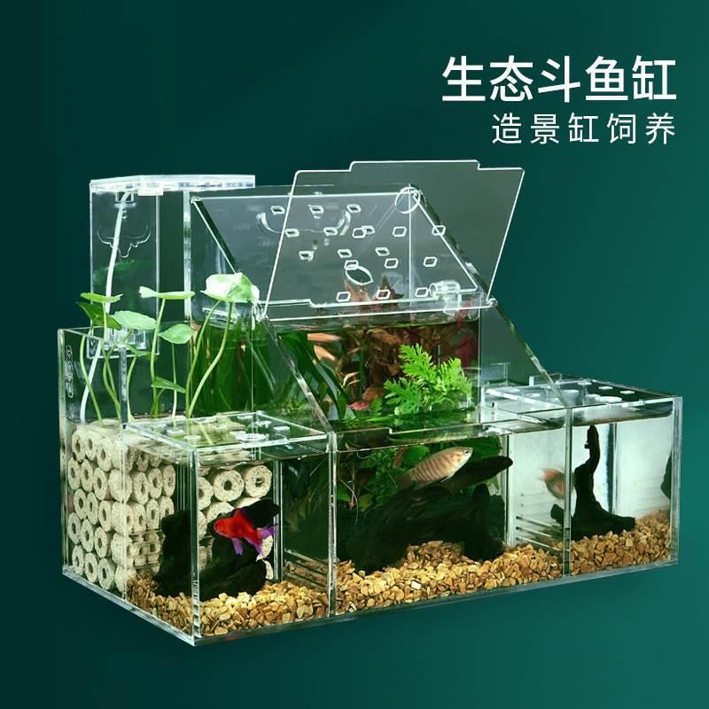 生态斗鱼缸孔雀鱼繁殖孵化专用隔离盒循环水过滤创意桌面斗鱼排缸
