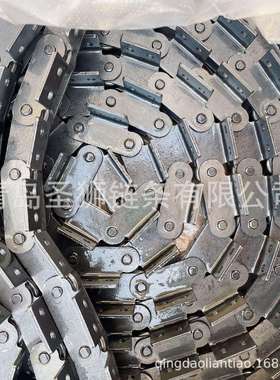 双节距输链C20AC10A送C2122AC216AC220AC224C232AHL单8170双侧弯K