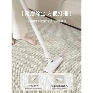 床边免打理房间家用轻奢高级感防水沙发地垫 地毯客厅卧室2024新款