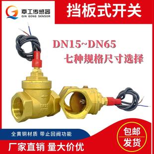 水流感应信号流量开关 空气能大流量全铜单向阀挡板式