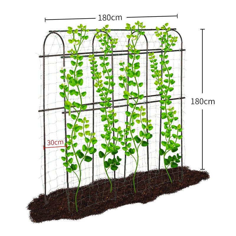花盆支架花园菜园蔬菜水果攀爬架黄瓜丝瓜南瓜茄子阳台种植箱支架