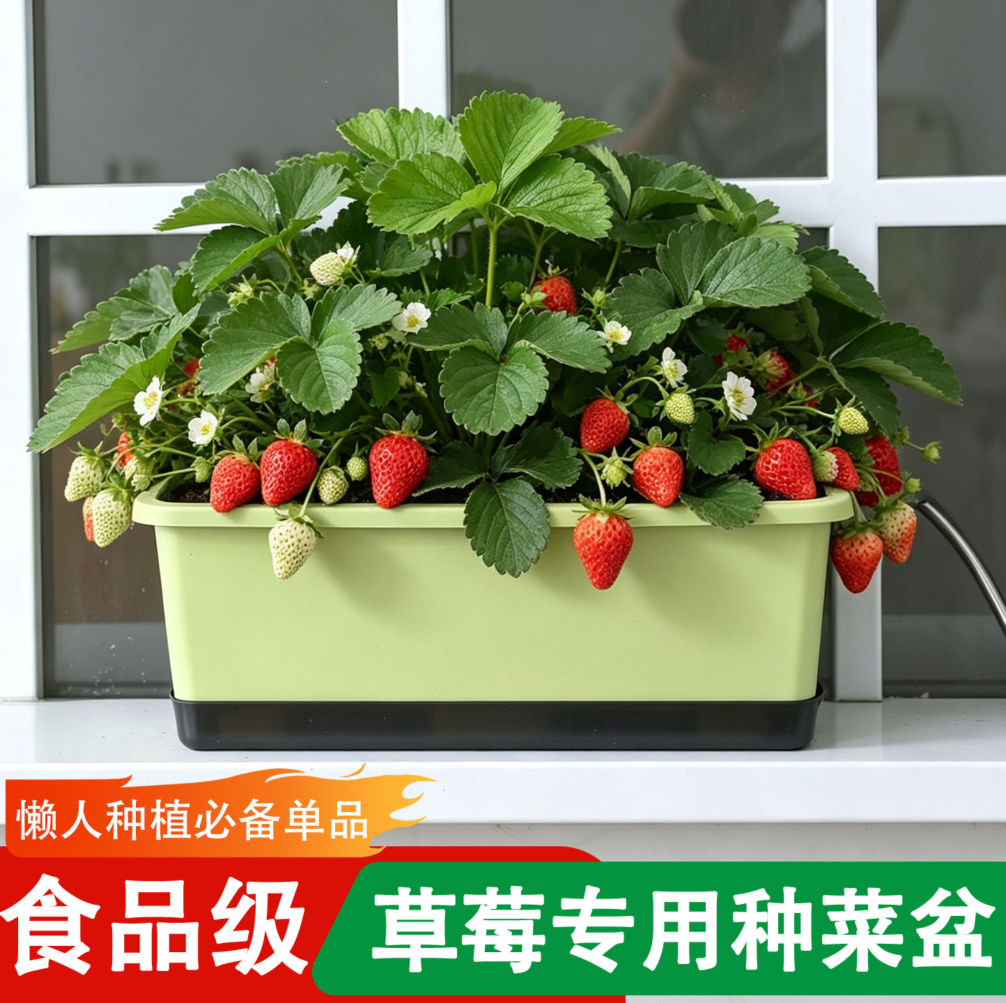 长条形塑料窗台花盆草莓种植盆家庭阳台种菜盆专用箱长条霍伦神器