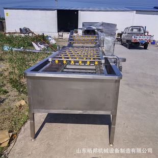 果蔬預(yù)清洗加工設(shè)備 出售 大型配餐中心使用蔬菜去泥清洗機(jī)