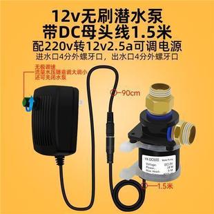 抽水泵洗澡增压泵浇花直流无刷潜水泵12水陆两用高扬程大流量