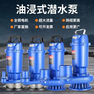 上海人民潜水泵220V单相家用抽水机3寸4寸农用高扬程灌溉排污水泵