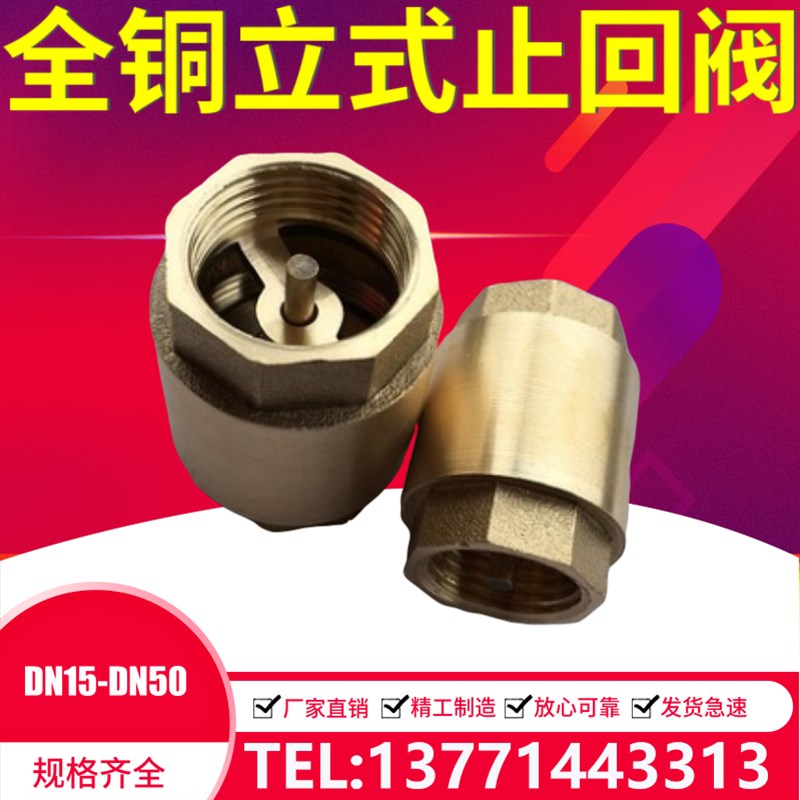 全铜加厚长立式止回阀单向阀横卧式水表前止逆阀4分6分1寸152025