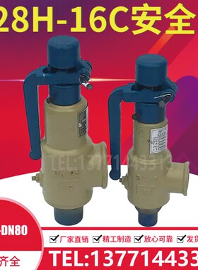 -A28H-16C/25C/40C铸钢弹簧全启式丝口安全阀 锅炉蒸汽DN15 20 25