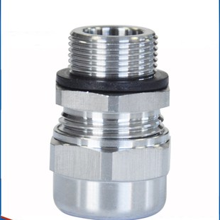 蓝江 1.0细牙不锈钢电缆防水接头IP68密封锁紧格兰头固定头护线帽