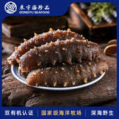 东宇野生海参即食海参特产500g特价 即食海参礼盒刺参王海参旗舰店