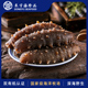 东宇野生海参即食海参特产500g特价 即食海参礼盒刺参王海参旗舰店