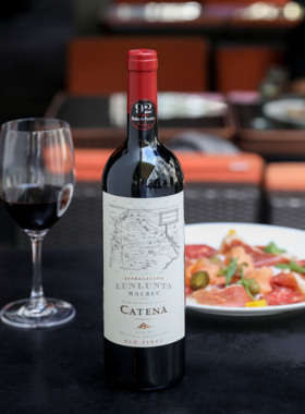 百大酒单！卡帝娜Catena轮轮塔马尔贝克尼卡西亚河之石干红葡萄酒