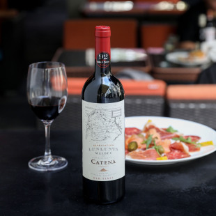 百大酒单！卡帝娜Catena轮轮塔马尔贝克尼卡西亚河之石干红葡萄酒