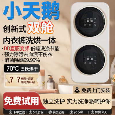 分区洗壁挂式双仓内衣裤洗衣机小型全自动专用洗袜子机迷你双舱桶