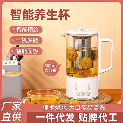 花茶养生壶迷你式办公室家用600ml小型电炖杯养生杯烧水壶电茶壶
