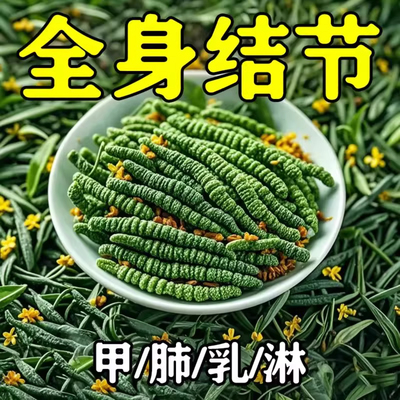 老方子】全身结节笠草医结茶非结节茶结块茶蒲公英养生茶结茶正品