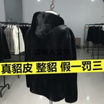 进口真貂毛外套男士整貂皮男款真貂皮大衣水貂毛毛皮草貂绒海宁冬