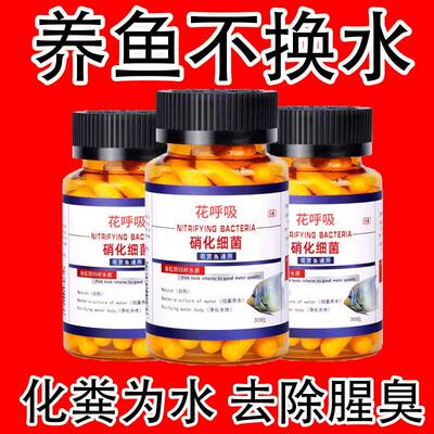 【水质净化专用】硝化细菌鱼缸