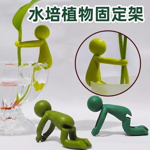 水培植物生长伴侣固定器支撑架鱼缸盆栽园艺神器水培器皿扶正扶枝